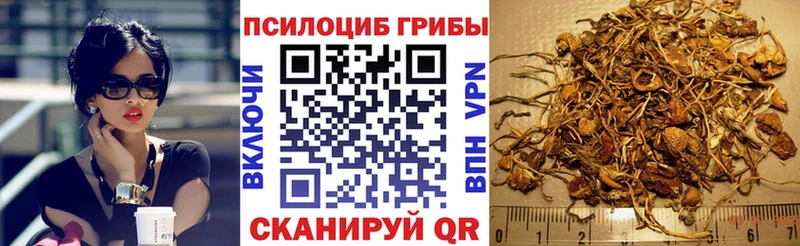 Галлюциногенные грибы GOLDEN TEACHER  закладка  Инза 